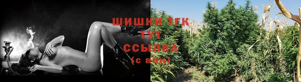 ешки Бронницы