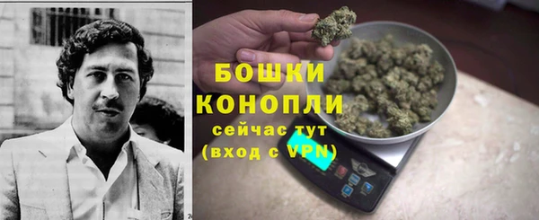 ешки Бронницы