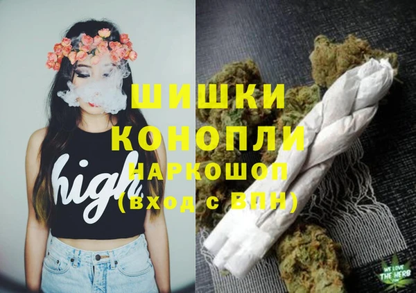 ешки Бронницы
