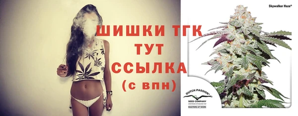 mdpv Бородино