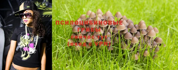 mdpv Бородино