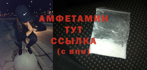 mdpv Бородино